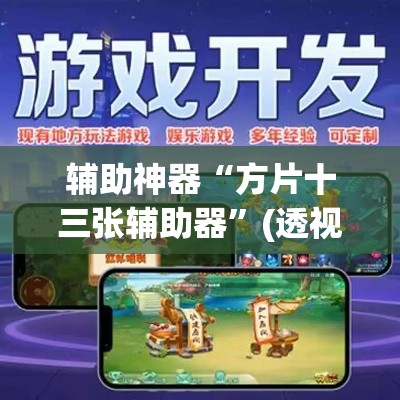 辅助神器“方片十三张辅助器”(透视挂)辅助透视教程