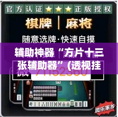 辅助神器“方片十三张辅助器	”(透视挂)辅助透视教程