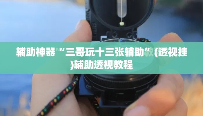 辅助神器“三哥玩十三张辅助”(透视挂)辅助透视教程