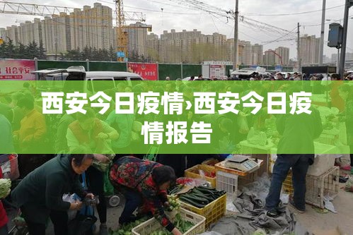 西安今日疫情›西安今日疫情报告
