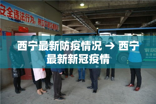 西宁最新防疫情况 → 西宁最新新冠疫情