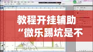 教程开挂辅助“微乐踢坑是不是有透视挂吗	”(透视挂)辅助透视教程