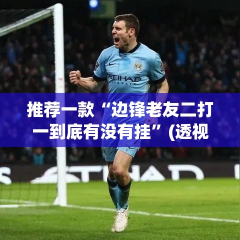 推荐一款“边锋老友二打一到底有没有挂”(透视挂)辅助透视教程