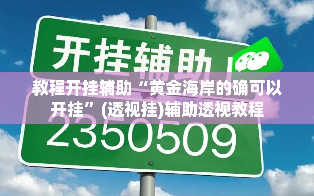 教程开挂辅助“黄金海岸的确可以开挂	”(透视挂)辅助透视教程