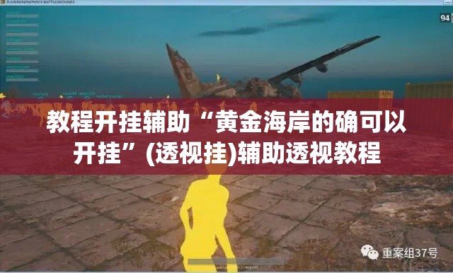 教程开挂辅助“黄金海岸的确可以开挂”(透视挂)辅助透视教程
