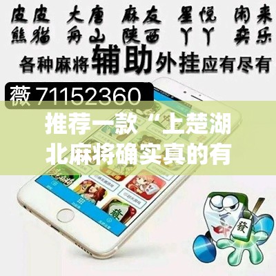 推荐一款“上楚湖北麻将确实真的有挂	”(透视挂)辅助透视教程