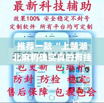 推荐一款“上楚湖北麻将确实真的有挂”(透视挂)辅助透视教程