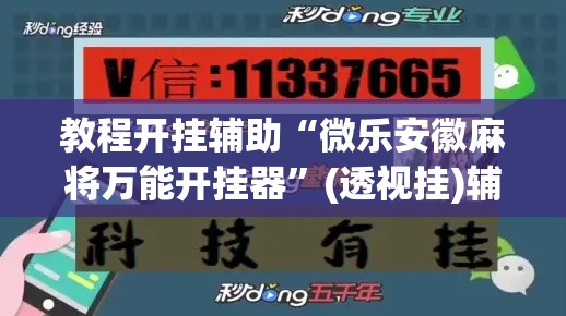 教程开挂辅助“微乐安徽麻将万能开挂器”(透视挂)辅助透视教程