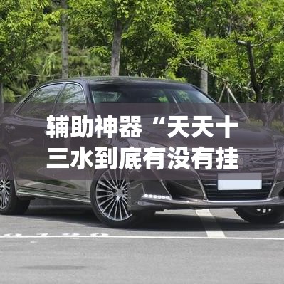 辅助神器“天天十三水到底有没有挂	”(透视挂)辅助透视教程