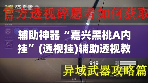 辅助神器“嘉兴黑桃A内挂”(透视挂)辅助透视教程