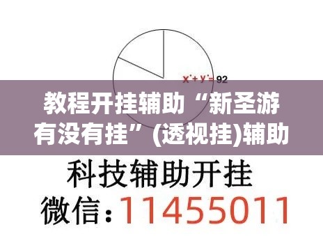 教程开挂辅助“新圣游有没有挂	”(透视挂)辅助透视教程