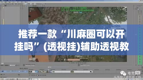 推荐一款“川麻圈可以开挂吗”(透视挂)辅助透视教程