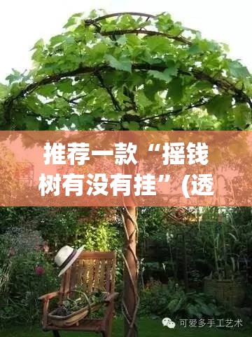 推荐一款“摇钱树有没有挂”(透视挂)辅助透视教程