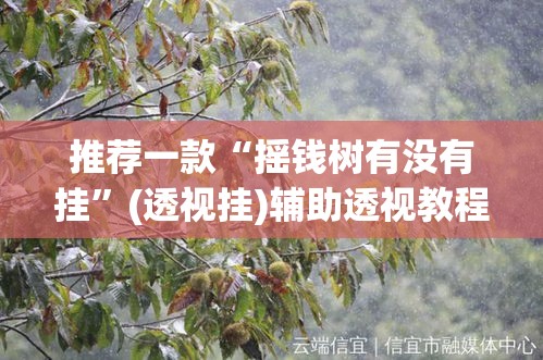 推荐一款“摇钱树有没有挂”(透视挂)辅助透视教程