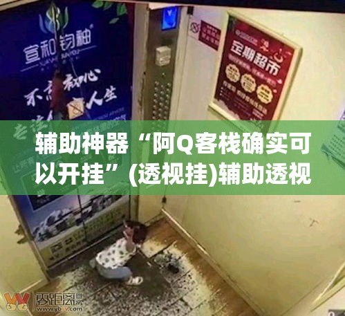 辅助神器“阿Q客栈确实可以开挂”(透视挂)辅助透视教程