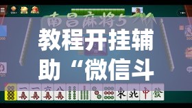 教程开挂辅助“微信斗地主小程序透视”(透视挂)辅助透视教程