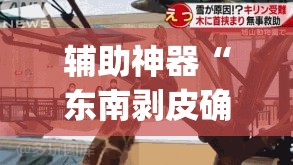 辅助神器“东南剥皮确实真的有挂	”(透视挂)辅助透视教程