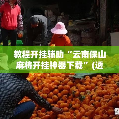 教程开挂辅助“云南保山麻将开挂神器下载”(透视挂)辅助透视教程