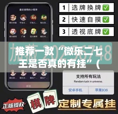 推荐一款“微乐二七王是否真的有挂	”(透视挂)辅助透视教程