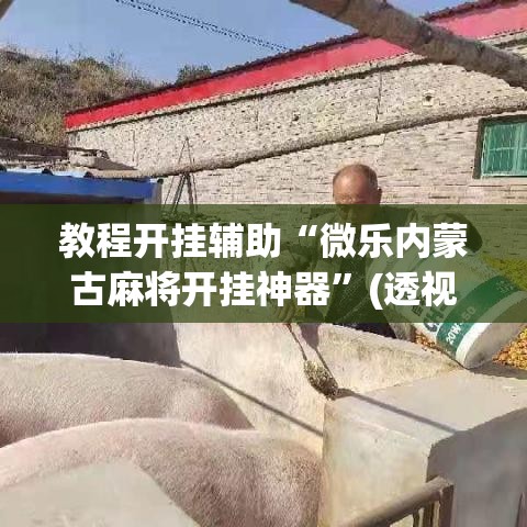 教程开挂辅助“微乐内蒙古麻将开挂神器”(透视挂)辅助透视教程