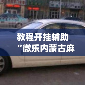 教程开挂辅助“微乐内蒙古麻将开挂神器”(透视挂)辅助透视教程