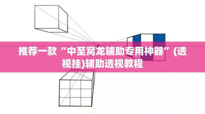 推荐一款“中至窝龙辅助专用神器”(透视挂)辅助透视教程