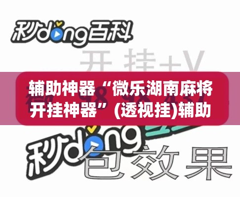 辅助神器“微乐湖南麻将开挂神器”(透视挂)辅助透视教程