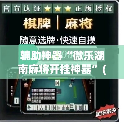 辅助神器“微乐湖南麻将开挂神器”(透视挂)辅助透视教程