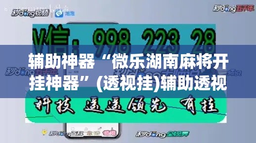 辅助神器“微乐湖南麻将开挂神器	”(透视挂)辅助透视教程