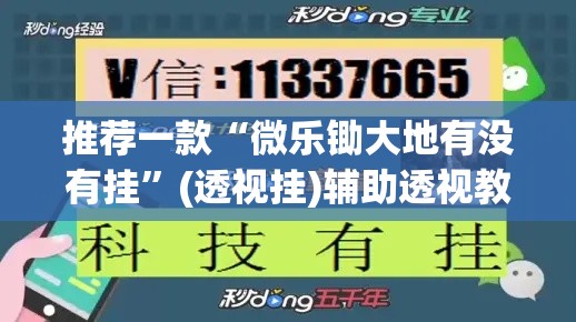 推荐一款“微乐锄大地有没有挂”(透视挂)辅助透视教程