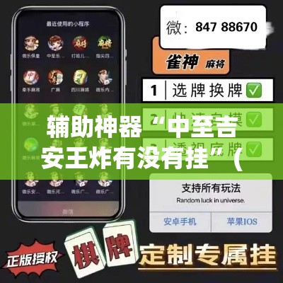 辅助神器“中至吉安王炸有没有挂”(透视挂)辅助透视教程