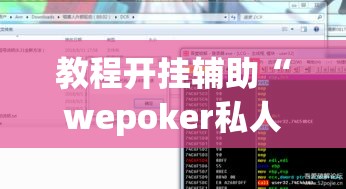 教程开挂辅助“wepoker私人局透视 	”(透视挂)辅助透视教程