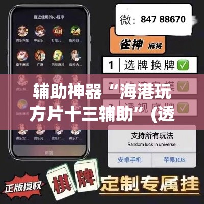 辅助神器“海港玩方片十三辅助	”(透视挂)辅助透视教程