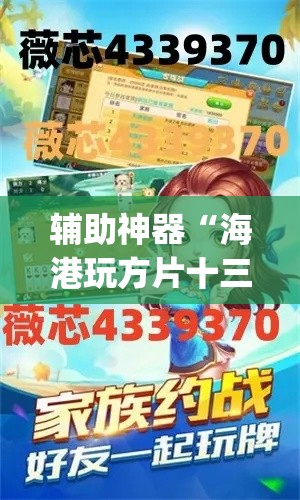 辅助神器“海港玩方片十三辅助”(透视挂)辅助透视教程