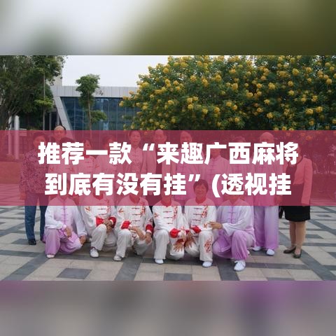 推荐一款“来趣广西麻将到底有没有挂”(透视挂)辅助透视教程