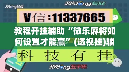 教程开挂辅助“微乐麻将如何设置才能赢”(透视挂)辅助透视教程