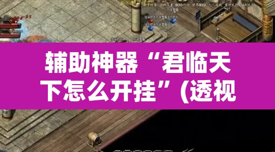 辅助神器“君临天下怎么开挂”(透视挂)辅助透视教程