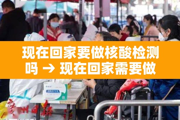 现在回家要做核酸检测吗 → 现在回家需要做核酸检测报告吗 现在回家要做核酸检测吗 → 现在回家需要做核酸检测报告吗