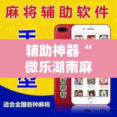 辅助神器“微乐湖南麻将万能开挂器通用版”(透视挂)辅助透视教程