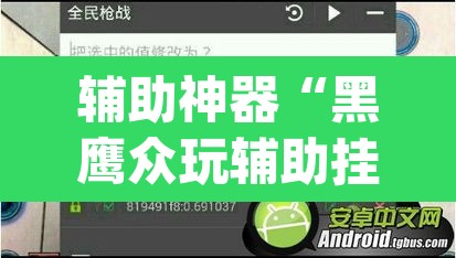 辅助神器“黑鹰众玩辅助挂”(透视挂)辅助透视教程
