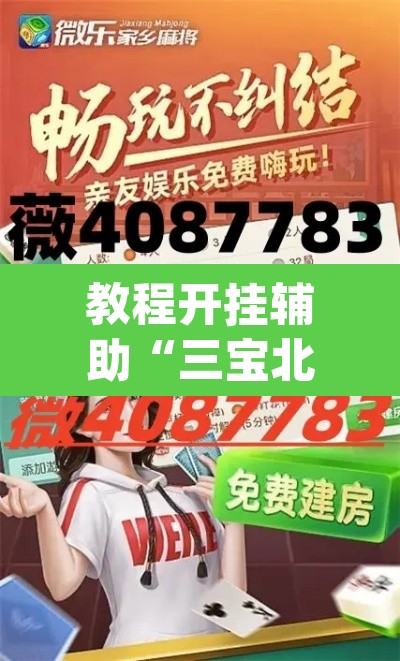 教程开挂辅助“三宝北京麻将可以透明吗	”(透视挂)辅助透视教程