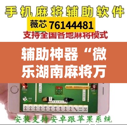 辅助神器“微乐湖南麻将万能开挂器通用版”(透视挂)辅助透视教程