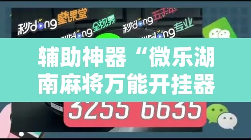 辅助神器“微乐湖南麻将万能开挂器通用版	”(透视挂)辅助透视教程