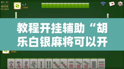 教程开挂辅助“胡乐白银麻将可以开挂吗	”(透视挂)辅助透视教程