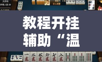 教程开挂辅助“温岭逸趣麻将神器开挂”(透视挂)辅助透视教程