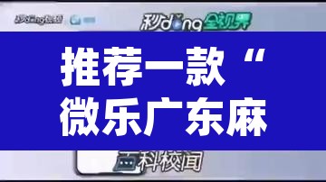 推荐一款“微乐广东麻将万能开挂器	”(透视挂)辅助透视教程