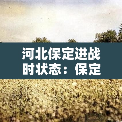 河北保定进战时状态:保定战时状态会封城吗 河北保定进战时状态:保定战时状态会封城吗