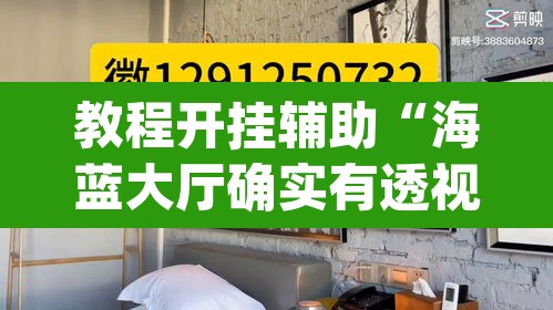 教程开挂辅助“海蓝大厅确实有透视挂”(透视挂)辅助透视教程