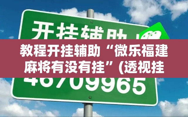 教程开挂辅助“微乐福建麻将有没有挂”(透视挂)辅助透视教程