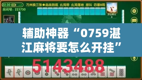 辅助神器“0759湛江麻将要怎么开挂”(透视挂)辅助透视教程